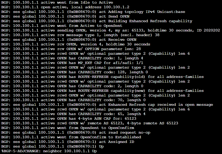 BGP debug
