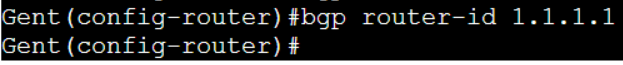 BGP Stap 2