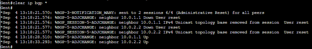 clear ip bgp *