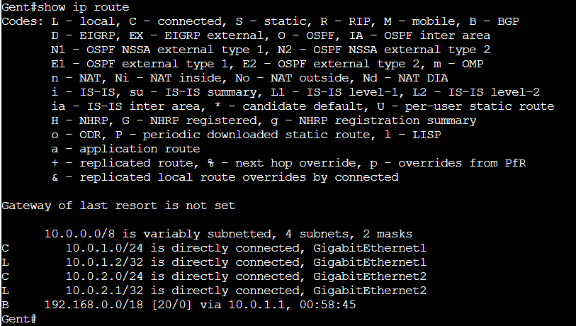 show ip route