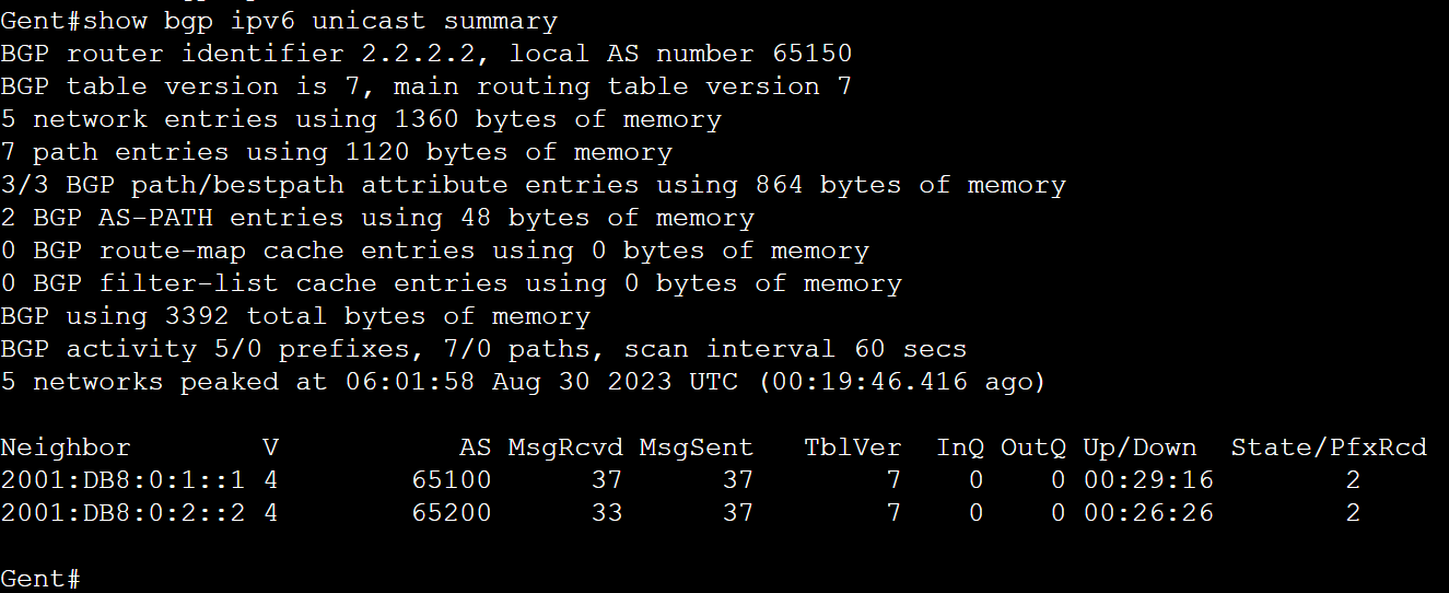 show bgp ipv6 unicast summary