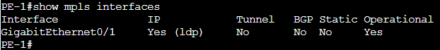 Show mpls interfaces