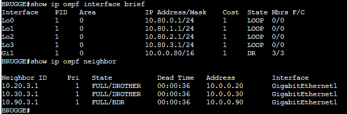 OSPF neighbor